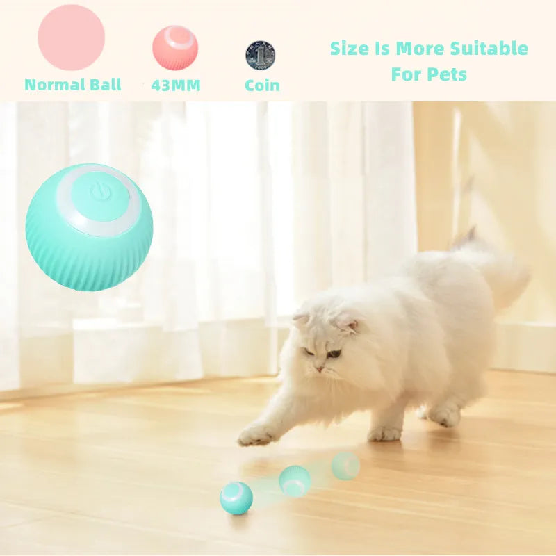 Cat Self-moving Rolling Ball