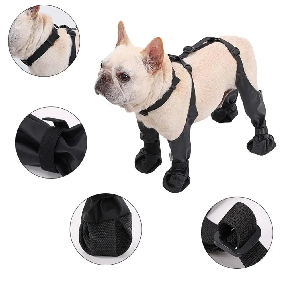 Suspender Dogs Boots