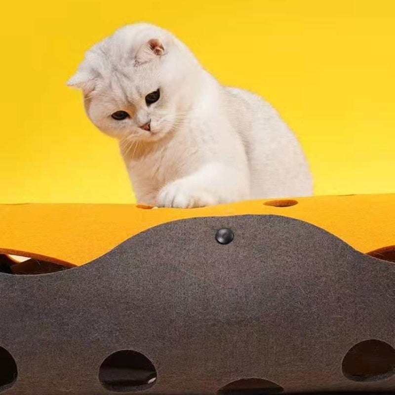 Cat Tunnel Toy