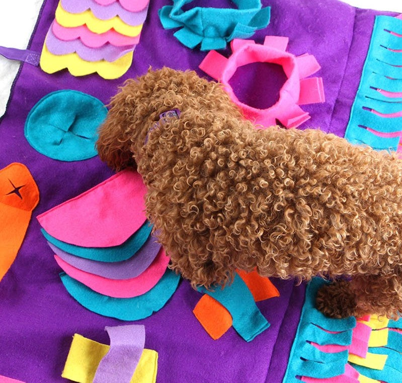Pet Sniffing Puzzle Toy