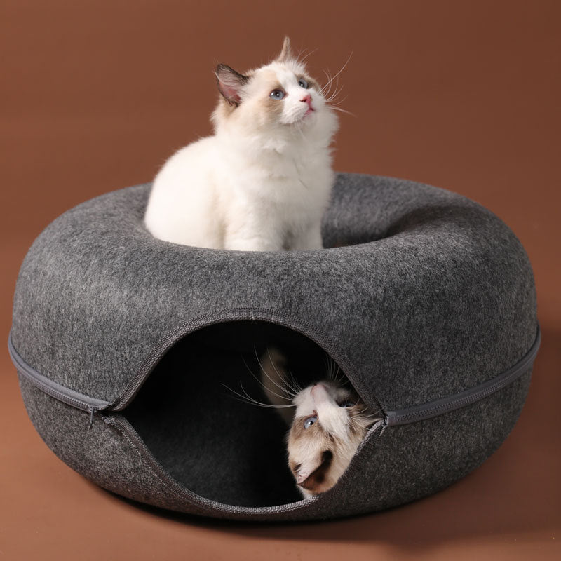 Donut Cats Cave