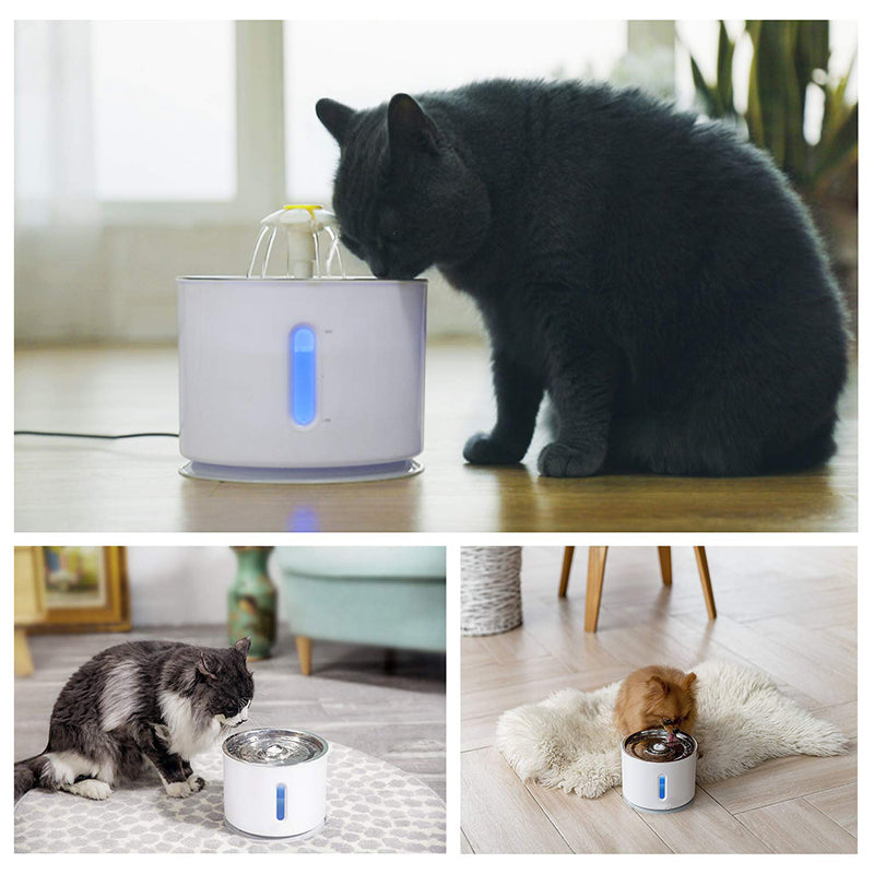 Pets Water Fountain